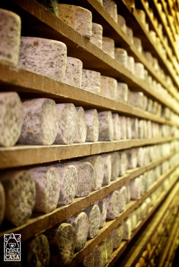Qui da noi Piemonte tour 2014: il formaggio "La Poiana"